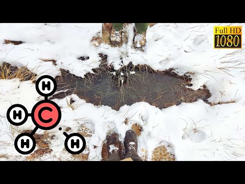 Altbergbau: Grubengas-Leck? in Grillenberg bei Berndorf/NÖ