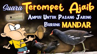 Download lagu TEROMPET AJAIB AMPUH UNTUK PANGGIL BURUNG MANDAR, PELAN, PERUK. TERBUKTI SAKTI UNTUK JARING MALAM. mp3