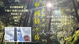 【日帰り百名山】甲武信ヶ岳 毛木平〜千曲川水源地標〜三宝山周回 沢の優しさに包まれたあと現実の辛さに泣く50代登山初心者😂