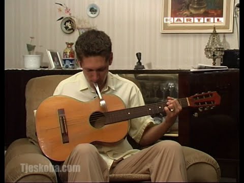 GITAK TV - Životinje napadaju