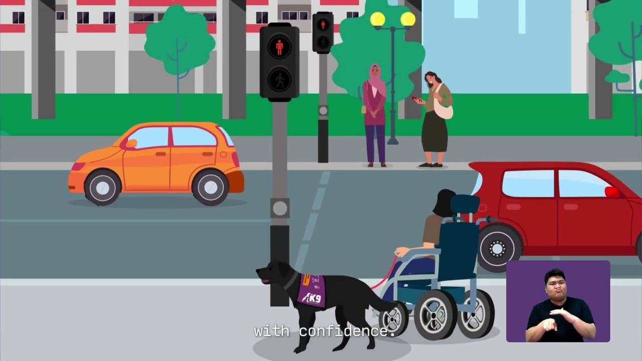 The Mobility Assistance Dog Journey