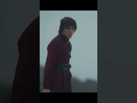 Prince Jacaerys vs Lucerys Velaryon training ⚔️for the Greens: I'm sorry❤️ #shorts #houseofthedragon