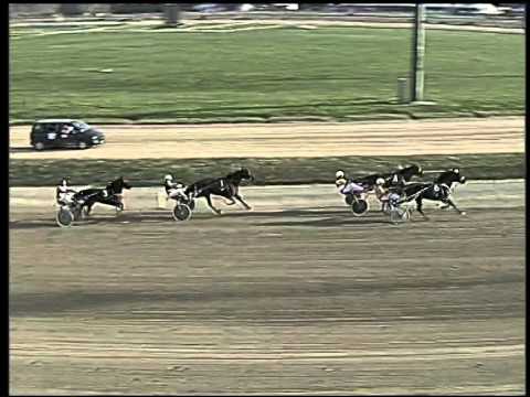 Trotto 23/11/2014 - 1° corsa