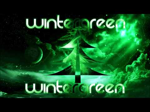Wintergreen - Vapor Trails