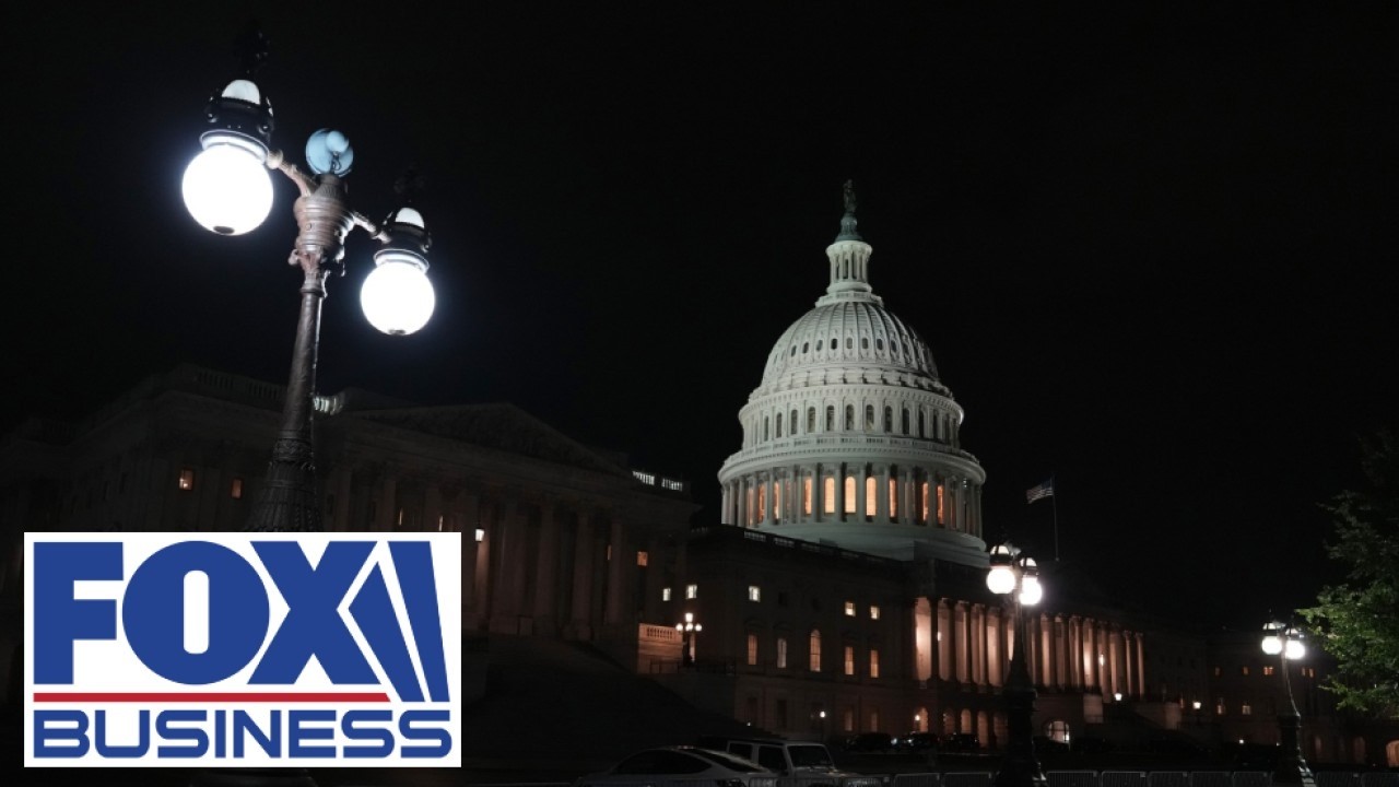 Independents will be 'crucial' in next election: GOP lawmaker