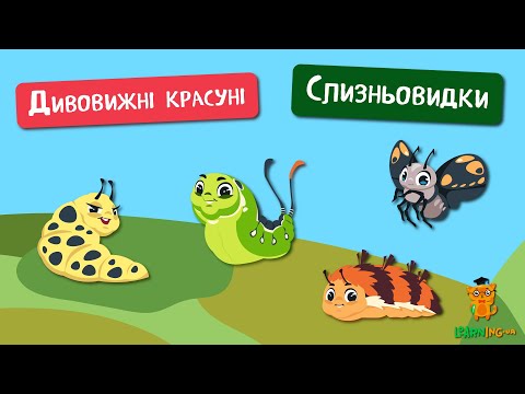 🍀 Дива природи. Явища навколо нас. Дивовижні слизньовидки 🌏