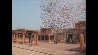 preview picture of video 'Fatehpur Sikri and Agra Fort sightseeing'