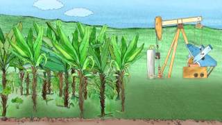 Mining Man 2014 by The Lurkers