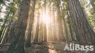 Slow Magic - Waited 4 U (ODESZA Remix)