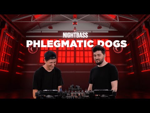 Phlegmatic Dogs @ Night Bass Live Set