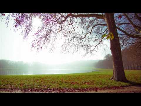 Iridio - Golden skies