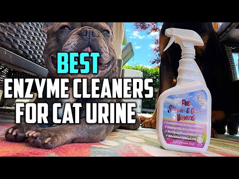 Top 6 Best Enzyme Cleaners for Cat Urine Review 2022 | Cat Urine Odor from Mattress, Sofa, Laundry