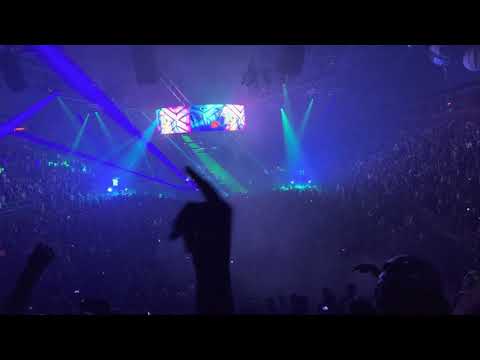 GRiZ - Another World - Night 1 (Tiger Kingdom Space Camp x 6 Foot 7 Foot)