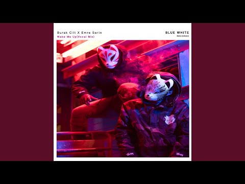 Wake Me Up (Vocal Mix)