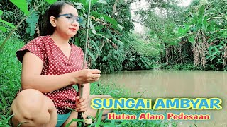 Download lagu mancing di sungai besar hutan alam pedesaan' di temani nyamuk ambyar mp3