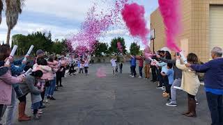 Gender Reveal with Confetti and Powder Cannons  Su