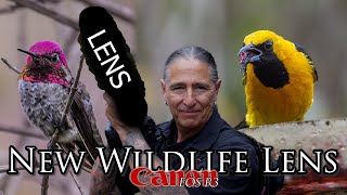 New wildlife lens day for hummingbirds and other treasures! 📷 Is this going to work for me?