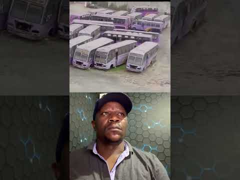 double m buses WHAT HAPPENED HERE!
