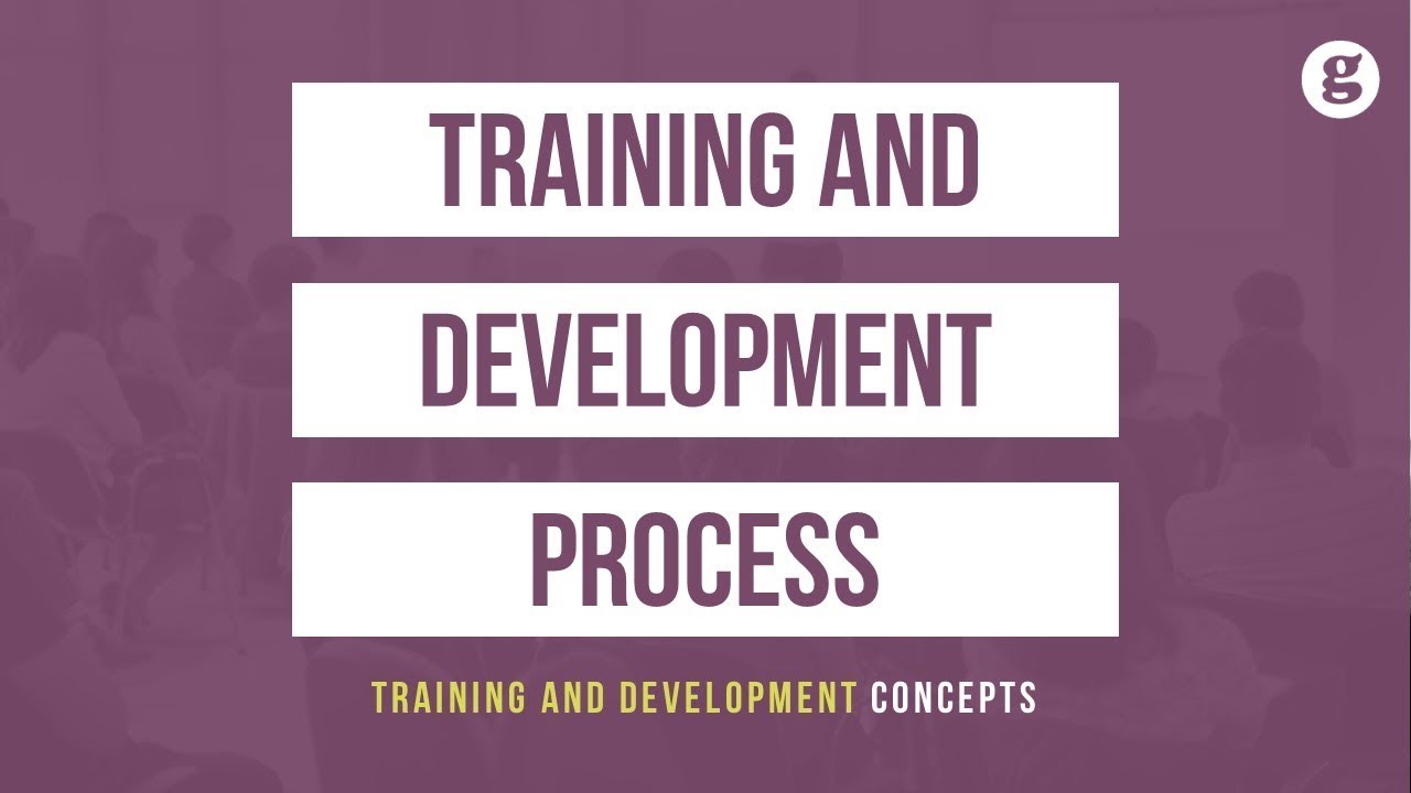 Training and Development Process
