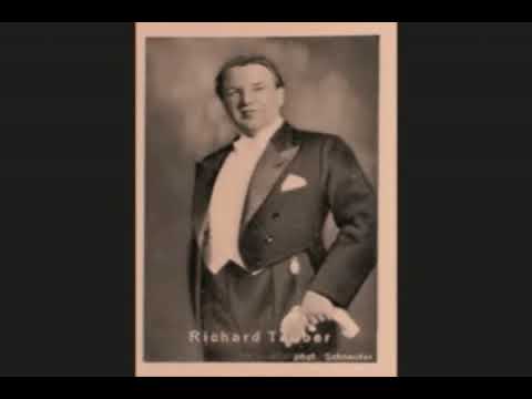 RICHARD TAUBER SINGS  ALLES FUR EUCH SCHONE FRAU franz grothe 1931