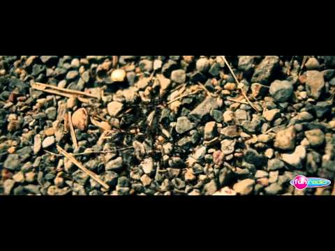 Najväčšie FUN hity by Milan Lieskovský (New year mash-up)