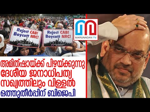 പൗരത്വ ഭേദഗതി നിയമത്തില്‍ സൂക്ഷിച്ച് ചുവട് വയ്ക്കാന്‍ കേന്ദ്ര സര്‍ക്കാര്‍ l caa