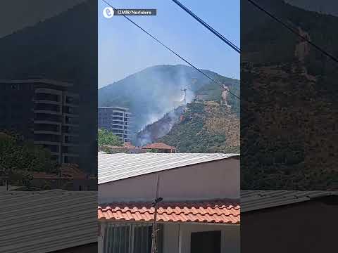 İzmir Narlıdere'de orman yangını