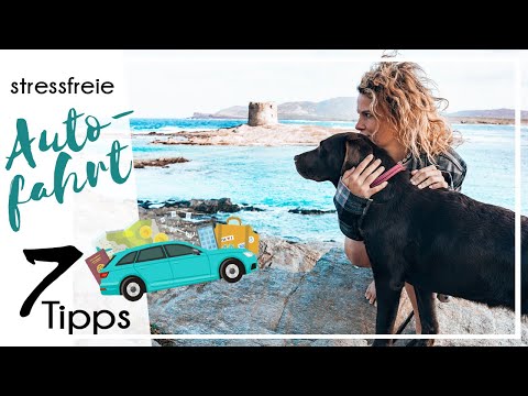 Stressfrei in den Urlaub - mit Hund im Auto  | KaroLovesMilka #milkamittwoch