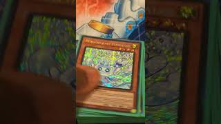 Yu-Gi-Oh Blue-Eyes Primite Branded Deck Profile May 2026 #yugioh #yugiohtcg #setokaiba #konami