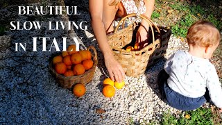 RENOVATING A RUIN: New Curtains, DIY Art, Beautiful Creative Days at Home w a Baby & Toddler (Ep 70)