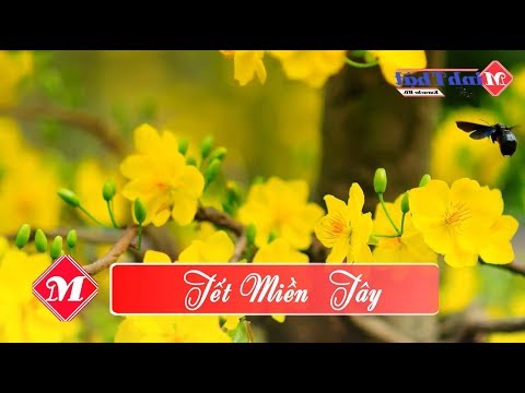 Tết Miền Tây Karaoke || HD || Beat chuẩn