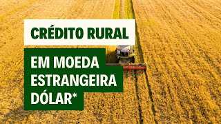 Como funciona um crédito rural em dólar — fluxo de caixa