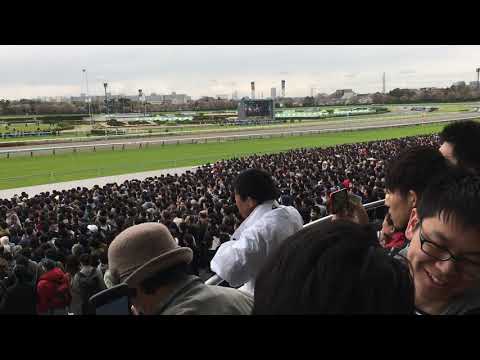 Download Thme Ofsuperkeiba Mp3 Free And Mp4