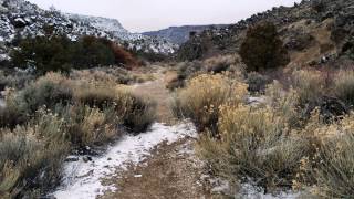 Slide Trail-Taos &quot;Simonize&quot; &quot;Strange Condition&quot; Pete Yorn