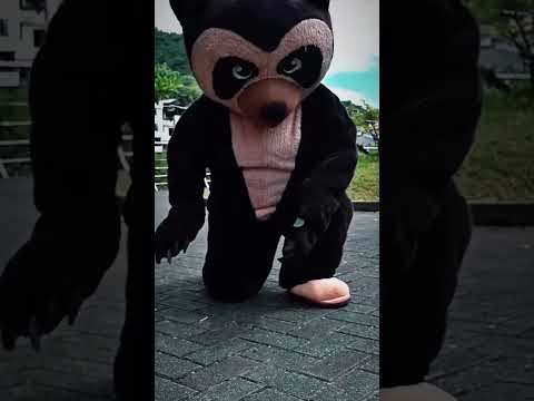 ¿Conoces Zamora? Mira esto 👀 #music #trap #automobile #ias #clips #cuenca #cuenca #ecuador