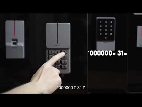 Video 2