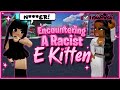 I Encountered A RACIST Clout Chasing E Kitten Roblox Baddies