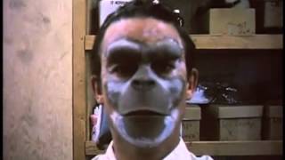 Momus: Where Are We Now? (David Bowie cover)