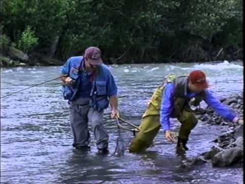 Fly Fishing America: The North Fork