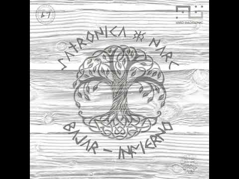 Satronica & Narc - Bajar [HE67]