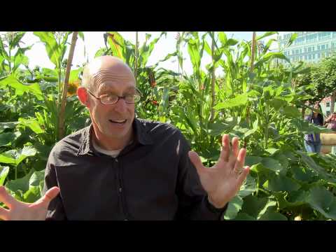 Queen of the Sun ~ Documentary Trailer