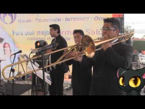 TIBERIO Y SUS GATOS NEGROS.  MARIA CRISTINA.