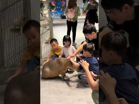The Largest & Most Exciting Indoor Petting Zoo