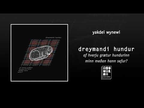 dreymandi hundur - yakdei wynewi