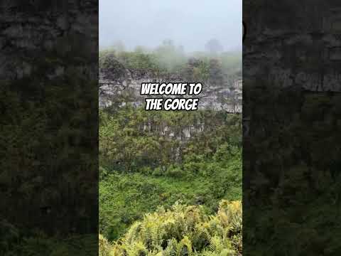 Los Gemelos, Santa Cruz, Galapagos