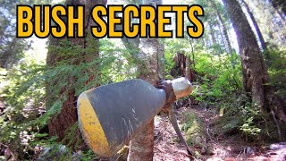 Hidden Secrets of Vancouver Island | Remembering Bushman John | Gnarly Trails And "The Knowledge"