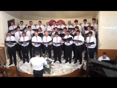 Dureri si lacrimi cor barbatesc Constanta