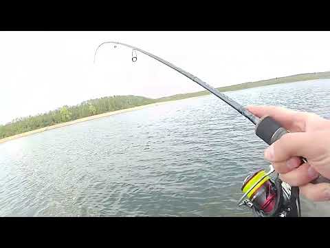 Okuma Psycho Perch 4 24g 220cm vs small pike