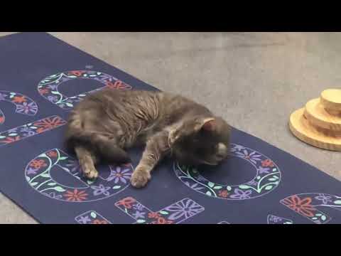 Vernie @FFRC June 2, 2022