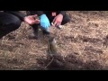 "МНОГОХОДОВКА -ЯРКАЯ ПРОВОКАЦИЯ НАКАНУНЕ ТАКОГО ПРАЗДНИКА!!!"- Взрывы на "Саур-Могиле"-ЛИСЕНКО.ВИДЕО